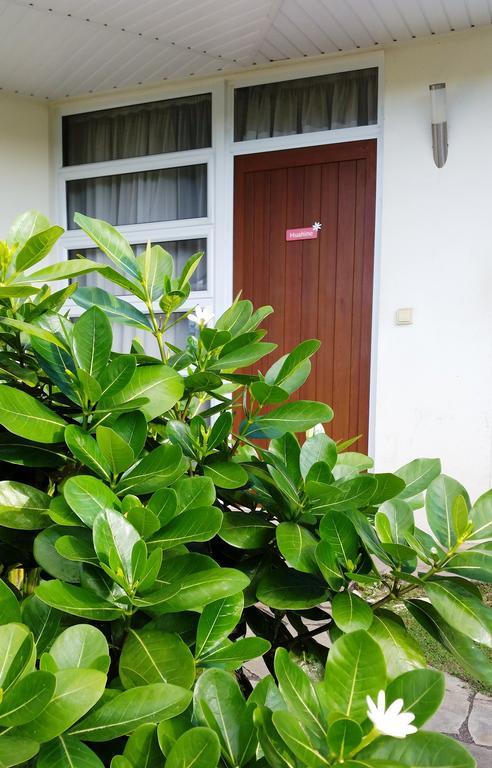 Fare Suisse Tahiti - Guesthouse Papeete  Zewnętrze zdjęcie